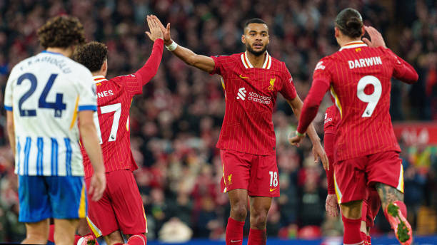 实时直播 实时直播